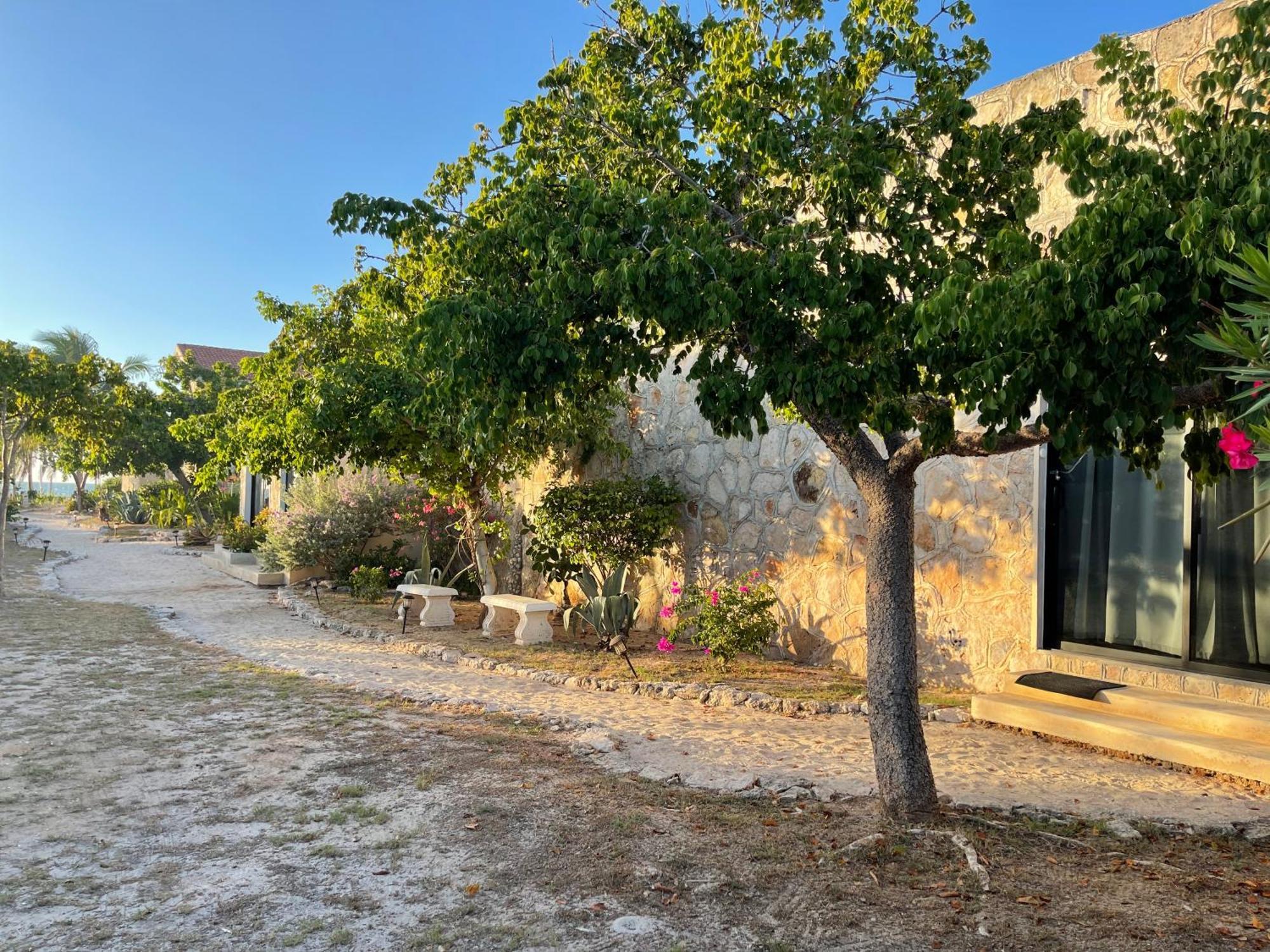 Bremar 85 Private Place - Adults Only Celestun Exterior foto